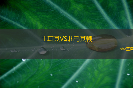 土耳其VS北马其顿