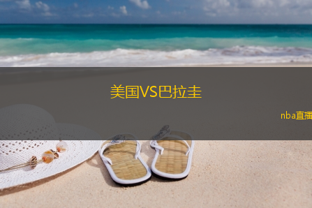 美国VS巴拉圭