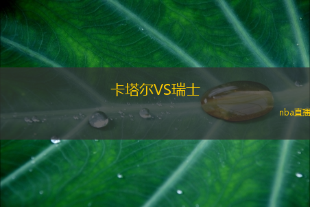 卡塔尔VS瑞士