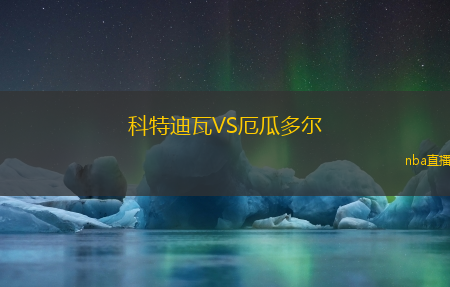 科特迪瓦VS厄瓜多尔