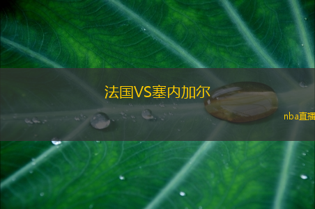 法国VS塞内加尔