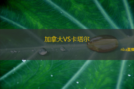 加拿大VS卡塔尔